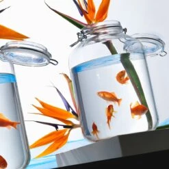 Bormioli Rocco 4.67L Swing Top Fido Glass Jar -Kitchen Store 149270mrf121990 3