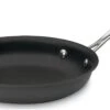 Cuisinart Chef's Classic Hard Anodized Nonstick 9" Skillet -Kitchen Store 622 22 hard anodized non stick skillet popup