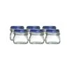Bormioli Rocco 0.5L Swing Top Fido Canning Jars - Blue Lid | 6-pack -Kitchen Store ekb br05lf