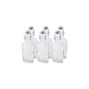 Bormioli Rocco 8.5oz Swing Top Glass Flasks | 6-pack -Kitchen Store ekb br85stf