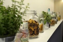 Bormioli Rocco 3L Swing Top Fido Glass Jar -Kitchen Store fido storage jars 1 1