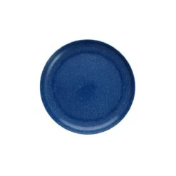 Fortessa Camp Melamine Coupe 11" Round Plate | Blue