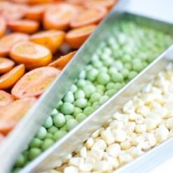 Harvest Right Large Size Home Freeze Dryer | Black 10 Harvest Right Large Size Home Freeze Dryer | Black -Kitchen Store hrlife1