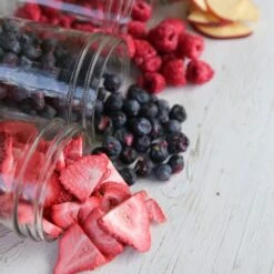 Harvest Right Large Size Home Freeze Dryer | Black 12 Harvest Right Large Size Home Freeze Dryer | Black -Kitchen Store hrlife3