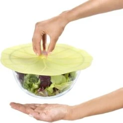 Charles Viancin Silicone Lid | 6" Lilypad -Kitchen Store lilypad life 1 3