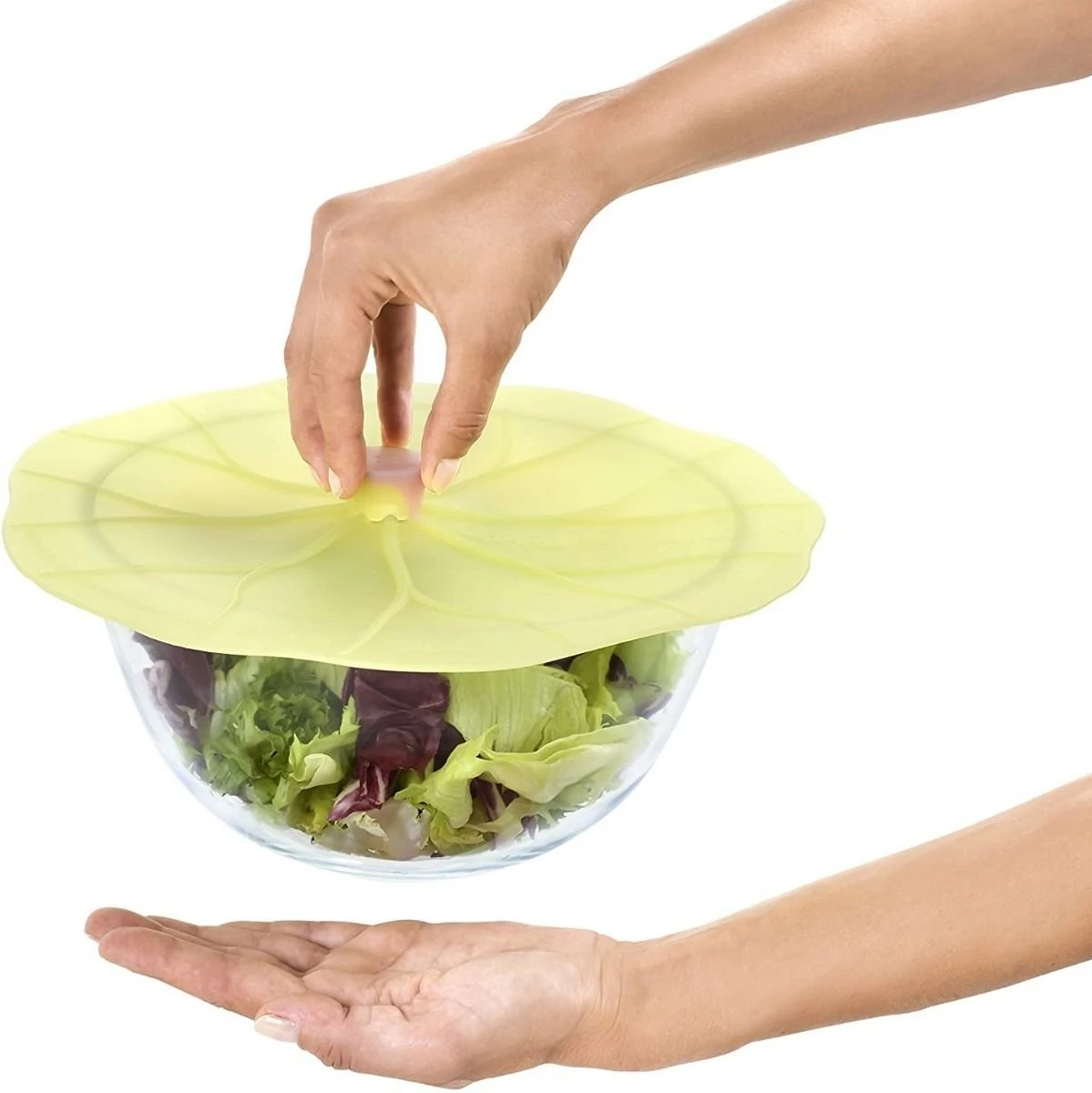 Charles Viancin Silicone Lid | Lilypad Gift Set (Set Of 4) 5 Charles Viancin Silicone Lid | Lilypad Gift Set (Set Of 4) - Image 3