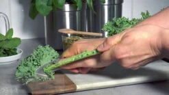 Microplane SwiftStrip | Green -Kitchen Store maxresdefault 123 22