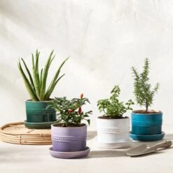 Le Creuset 5.5" Herb Planter | Artichaut -Kitchen Store rs15992 herbpots scr 4