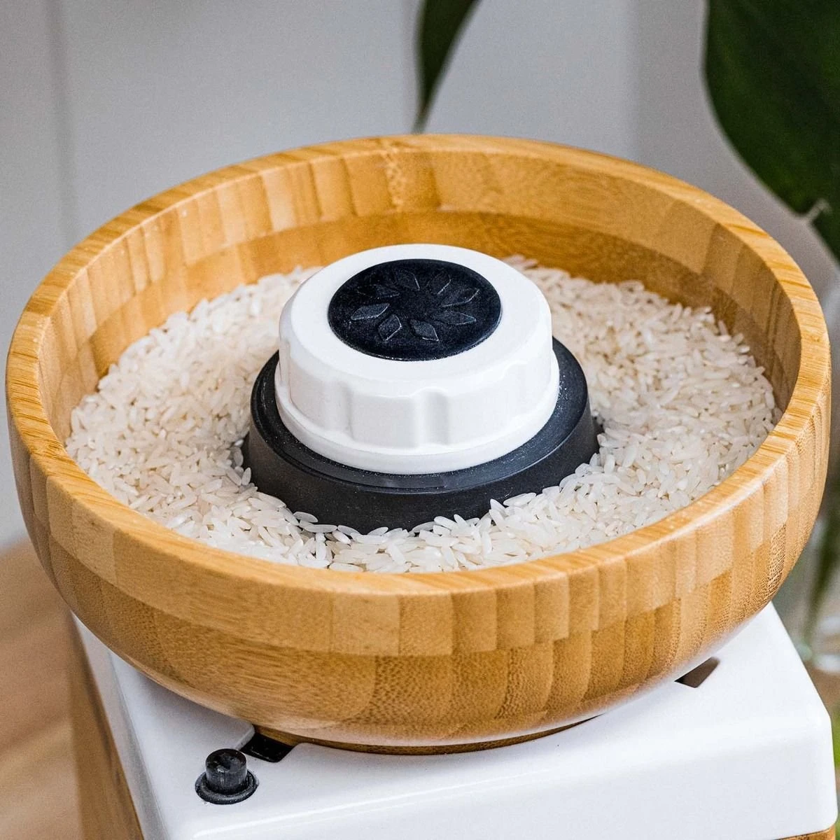 NutriMill Harvest Grain Mill | Powder Sugar White + Cutting Board & Canister Bundle 8 NutriMill Harvest Grain Mill | Powder Sugar White + Cutting Board & Canister Bundle - Image 6